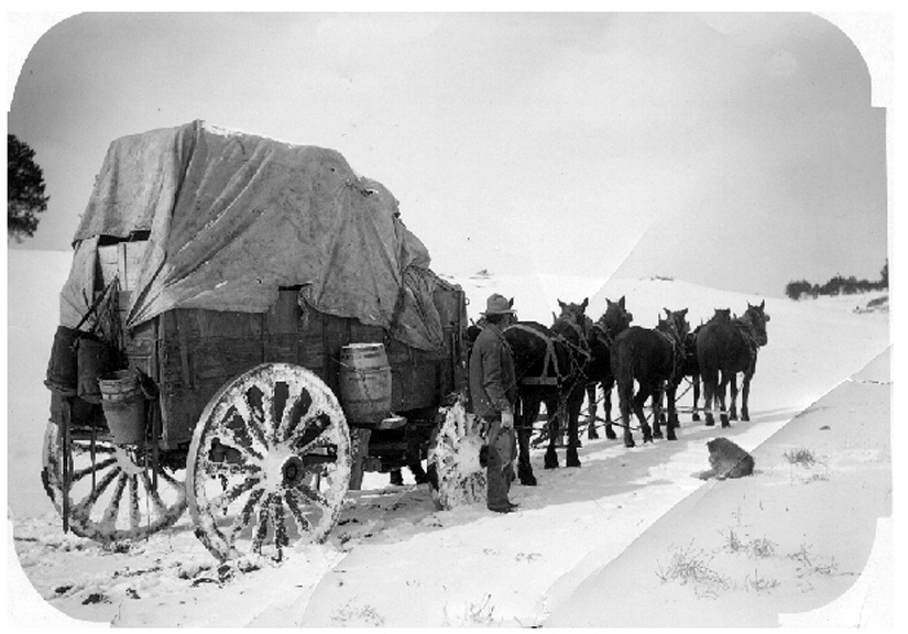 wagon train